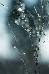 《歧路旅人》开发商未公布新作引发众多玩家猜想